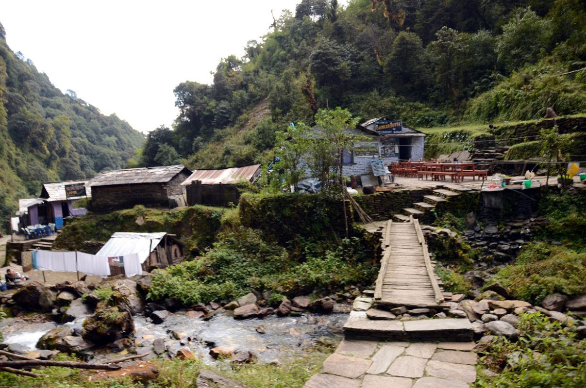 09 Banthanti On The Way From Ghorepani To Tadapani On The Way To Chomrong 